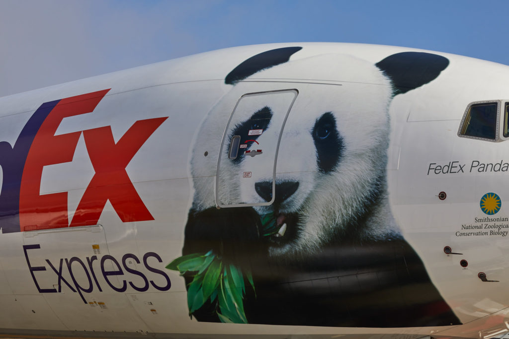Fedex Panda