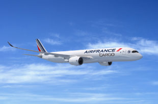 Air France-KLM 350F