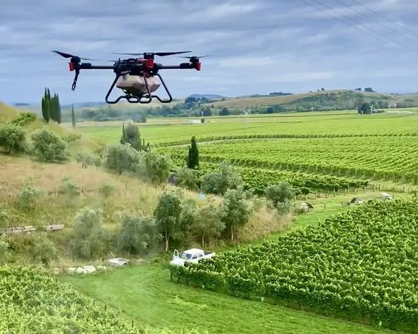 drones y viñedos